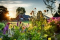 Summer sunrise over barn and flower garden Royalty Free Stock Photo