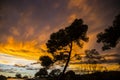 Summer sunrise in Platja Llarga beach, Tarragona, Spain