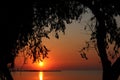 Summer sunset through branches of tree in Greece. View of Peraia, suburb of Thessaloniki. Golden sky and sea. Royalty Free Stock Photo