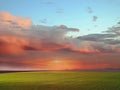 Summer sunset countryside green grass field pink yellow cloudy sky nature landscape wild nature background