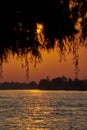 Summer sunset in the Danube Delta, Romania Royalty Free Stock Photo