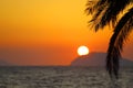 Summer sunset, exotic scene with palm silhouettes and sun on horizon