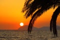 Summer sunset, exotic scene with palm silhouettes and sun on horizon