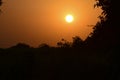 Summer sunset in a field in the sky of black Royalty Free Stock Photo