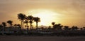 Summer sunset. Golden sunset evening in mountain and sea beach with palm umbrellas. Orange sunset on mountain pick and palms on se Royalty Free Stock Photo