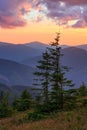 Summer sunset mountain view Carpathian, Ukraine. Royalty Free Stock Photo