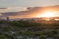 A summer sunset over dune grass in Newport, Rhode Island Royalty Free Stock Photo