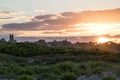 A summer sunset over dune grass in Newport, Rhode Island Royalty Free Stock Photo