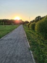 Summer sunset over an empty path in a city park