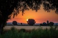 summer sunset over harvest moon, with silhouettes of trees and crops in the background Royalty Free Stock Photo