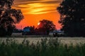 summer sunset over harvest moon, with silhouettes of trees and crops in the background Royalty Free Stock Photo