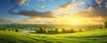 A summer sunset over a lush meadow with evening sunrays filtering through the grass