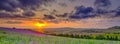 Summer sunset over the Meon valley towards Beacon Hill with a field of thistles catching the golden light