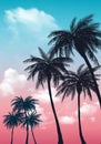 Summer sunset palm trees. Beatiful tropical, exotic wit clouds in sky.Vector illustration. EPS 10 Royalty Free Stock Photo