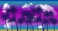 Summer sunset palm trees. Beatiful tropical, exotic wit clouds in sky.Vector illustration. EPS 10 Royalty Free Stock Photo