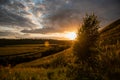 Summer sunset plain landscape. The horizon, the sun at sunset, the rays