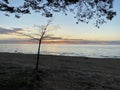 Summer sunset on the shore of the Gulf of Finland Royalty Free Stock Photo