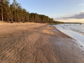 Summer sunset on the shore of the Gulf of Finland Royalty Free Stock Photo