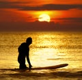 Summer sunset silhouette surfer looking for a wave with board in sea ocean water