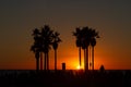 Summer sunset on Venice Beach in California Royalty Free Stock Photo