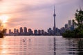 Summer sunset view from Toronto Islands across the Inner Harbour of the Lake Ontario on Downtown Toronto skyline with Royalty Free Stock Photo