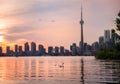 Summer sunset view from Toronto Islands across the Inner Harbour of the Lake Ontario on Downtown Toronto skyline with Royalty Free Stock Photo