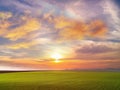 Summer sunset yellow clouds at sky countryside green grass field pink yellow cloudy sky nature landscape