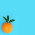 Summer Sunshine Orange Citrus Fruit Royalty Free Stock Photo