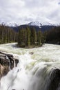 Summer in Sunwapta Falls, Jasper National Park, Canada Royalty Free Stock Photo