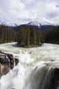 Summer in Sunwapta Falls, Jasper National Park, Canada Royalty Free Stock Photo