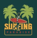 Summer surfing colorful label