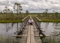 The summer swamp. a man in a white shirt sits on a wooden bridge. bog pond. bog background and vegetation Royalty Free Stock Photo