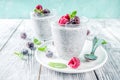 Summer sweet berry dessert with chia seeds