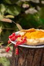 Summer sweet pie cake galette with  mango on rustic flower background outside Royalty Free Stock Photo