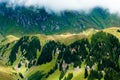 Summer in the Swiss mountains - Bernese Alps