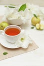 Summer tea with gladiole flowers Royalty Free Stock Photo