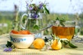 Summer tea time Royalty Free Stock Photo