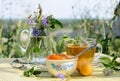 Summer tea time Royalty Free Stock Photo