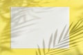 Summer template paper mockup palm leaves  yellow background Royalty Free Stock Photo