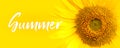 Summer text and sunflower close-up details. oncept for summer, sun, sunshine, tropical summer travel and hot days. Royalty Free Stock Photo
