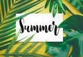 Summer text with tropical leaf on color background.summer Royalty Free Stock Photo