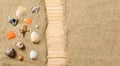 Summer theme. Miniature beach with seashells and wooden path. On the right is an empty free space in the sand. Royalty Free Stock Photo