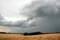 Summer thunderstorm