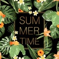 Summer time banner whith tropical flowers
