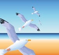Summer time in beach vacations flying seagulls over sea Royalty Free Stock Photo