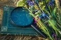 Summer time. A bouquet of flowers and dry grass. Next to the bouquet are objects that allow identifying wildflowers: a magnifying Royalty Free Stock Photo