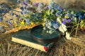 Summer time. A bouquet of flowers and dry grass. Next to the bouquet are objects that allow identifying wildflowers: a magnifying Royalty Free Stock Photo