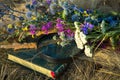 Summer time. A bouquet of flowers and dry grass. Next to the bouquet are objects that allow identifying wildflowers: a magnifying Royalty Free Stock Photo