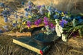 Summer time. A bouquet of flowers and dry grass. Next to the bouquet are objects that allow identifying wildflowers: a magnifying Royalty Free Stock Photo