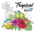 Summer time card degn. Topical paradise poster. Parrots and tropical flowers card.